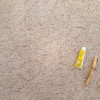 Carpet Stain Removal Mandan & Bismarck, ND On The Spot Carpet Cleaning